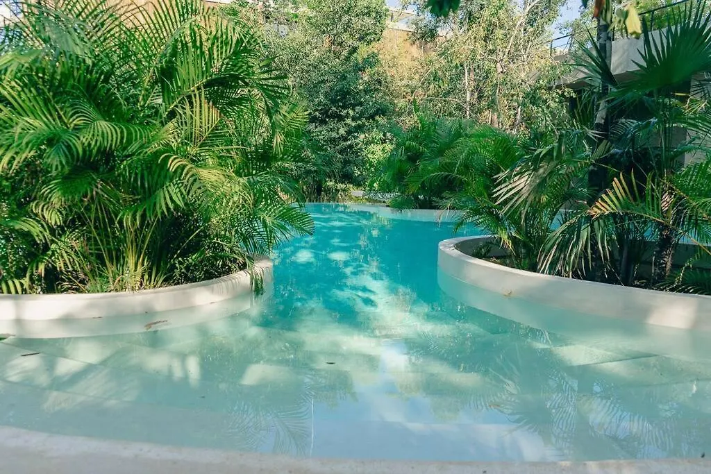 Apartment Beautiful & Comfortable Loft In Tulum. Mexico