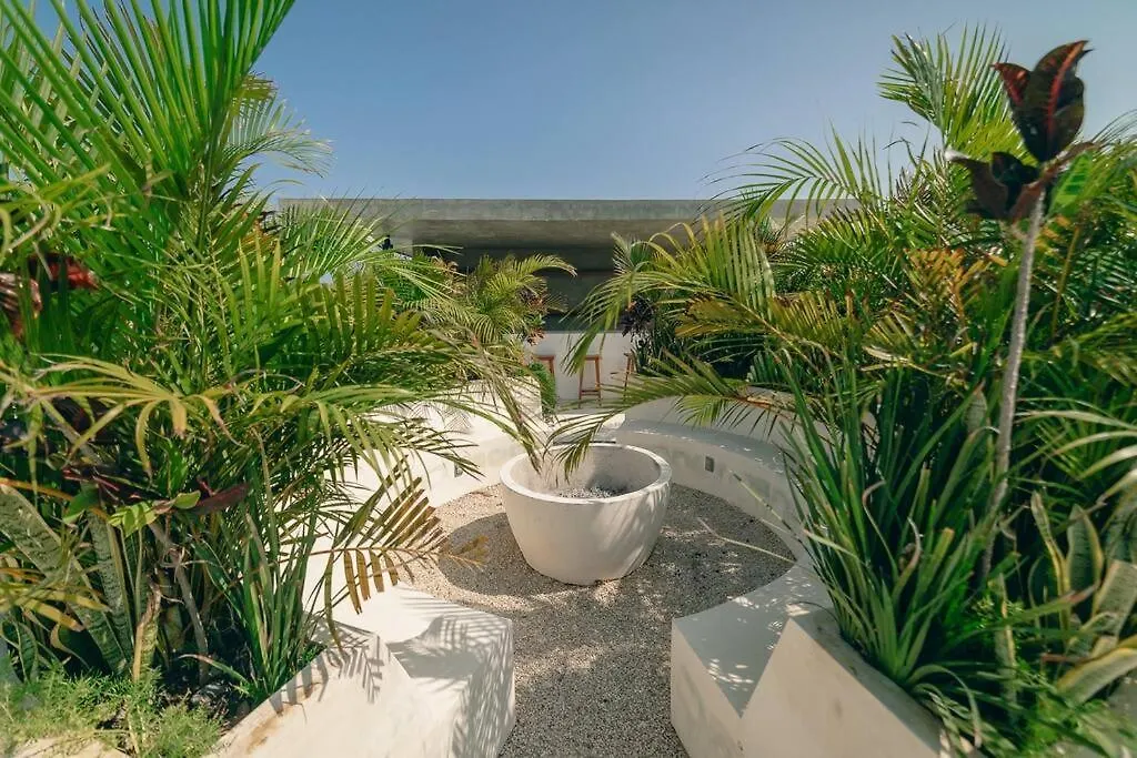 Beautiful & Comfortable Loft In Tulum. Apartment